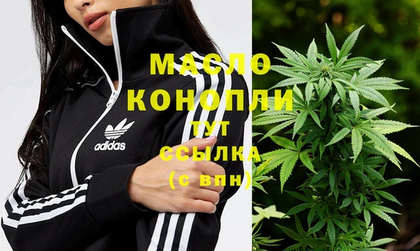 мяу мяу мука Гусь-Хрустальный