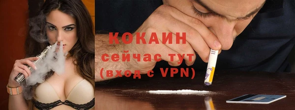 мяу мяу мука Гусь-Хрустальный