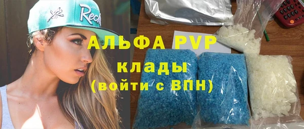 мяу мяу мука Гусь-Хрустальный