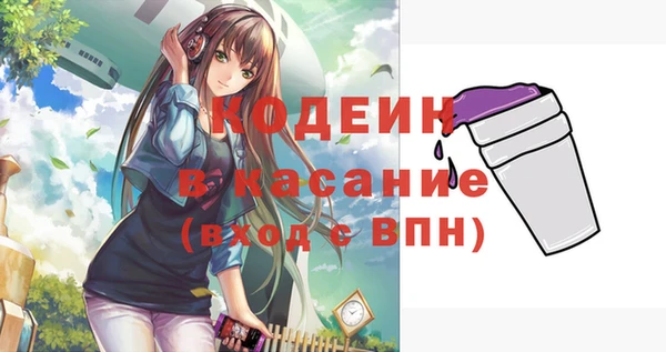 мяу мяу мука Гусь-Хрустальный