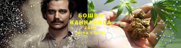 не бодяженный Гусиноозёрск
