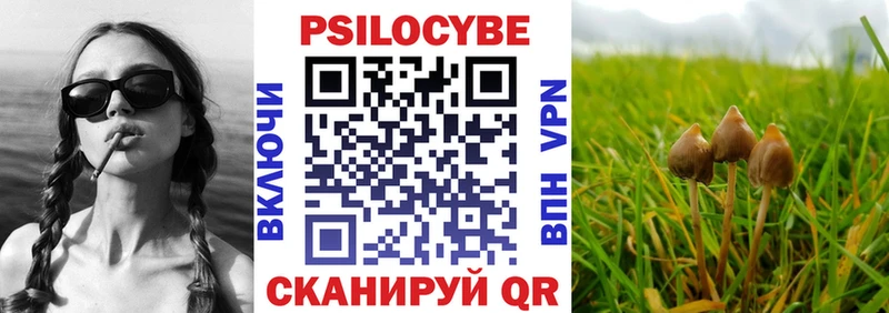 даркнет сайт Магадан MEGA ONION Псилоцибиновые грибы мухоморы